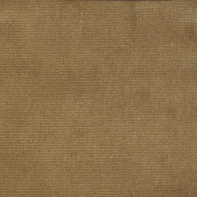 Kravet Design Versailles-E205160 by Kravet Design Fabric Kravet Design Fabric Kravet Design Versailles-E205160Fabric COTTON - 100% Netherlands </p><p>Repeat: H: 0, V: 0 54 - Fabric Carolina -
