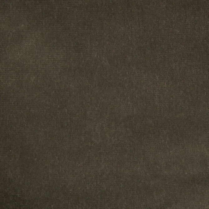 Versailles-E205060 by Kravet Design Fabric - COTTON - 100% Netherlands HEAVY Horizontal: 0 and Vertical: 0 54 - Fabric Carolina -