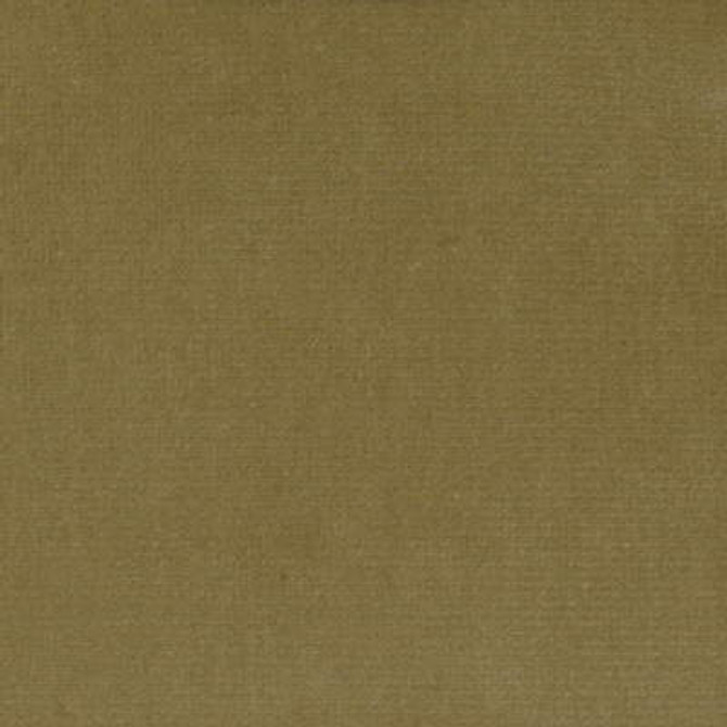 Versailles-E202130 by Kravet Design Fabric - COTTON - 100% Netherlands HEAVY Horizontal: 0 and Vertical: 0 54 - Fabric Carolina -