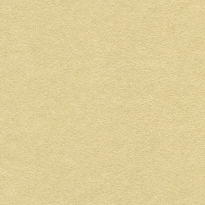 Ultrasuede Flax by Kravet Design Fabric
