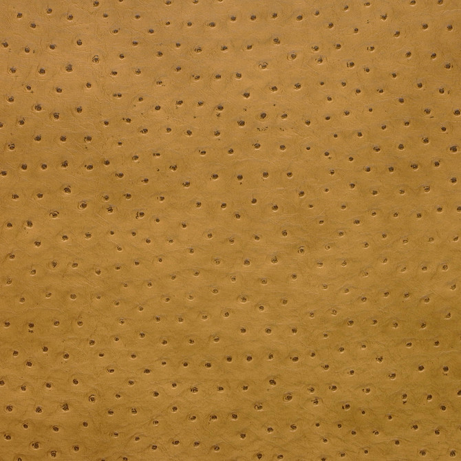 Kravet Design Senna-4 by Kravet Design Fabric