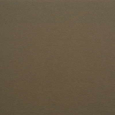 Gato-621 by Kravet Design Fabric ULTRALEATHER PLUS IV POLYURETHANE - 100% Japan HEAVY Horizontal: 0 and Vertical: 0 54 - Fabric Carolina -