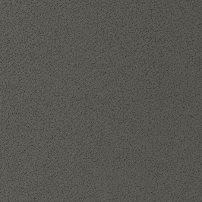 Genslar-21 by Kravet Design Fabric POLYURETHANE - 100% Japan HEAVY Horizontal: 0 and Vertical: 0 54 - Fabric Carolina -