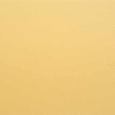 Kravet Design Gato-1616 by Kravet Design Fabric