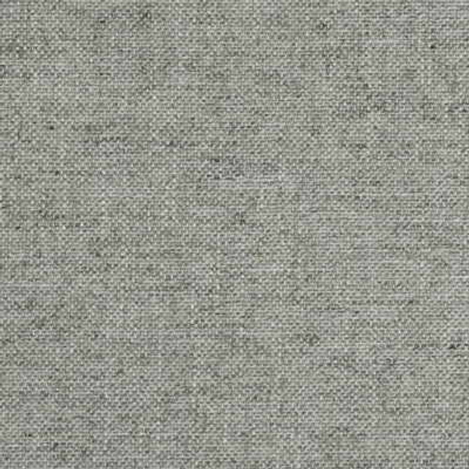 Everyday Lux Platinum by Kravet Couture Fabric MODERN COLORS III VISCOSE - 38%;POLYESTER - 25%;COTTON - 19%;LINEN - 18% Italy HEAVY Horizontal: 0 and Vertical: 0 55 - Fabric Carolina -