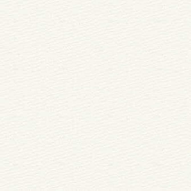 Soleil Canvas Natural by Kravet Design Fabric
