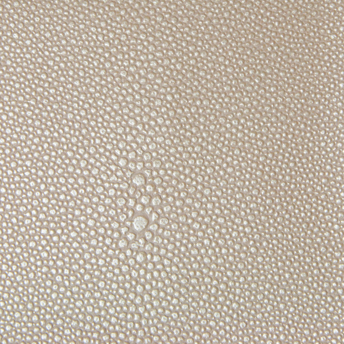 Kf Des:: by Kravet Design Fabric POLYVINYL CHLORIDE - 100% Taiwan HEAVY Horizontal: 11 and Vertical: 10 54 - Fabric Carolina -