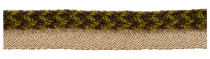 Limbo Brush Mojito by Kravet Design Trim