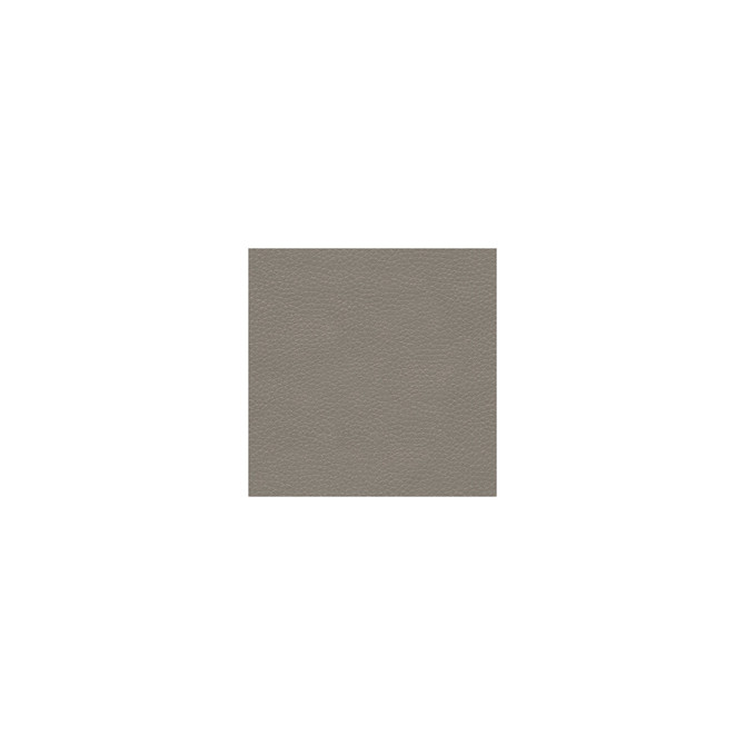 Metaliskin Pewter by Kravet Couture Fabric - NYLON - 100% United States HEAVY Horizontal: 0 and Vertical: 0 54 - Fabric Carolina -
