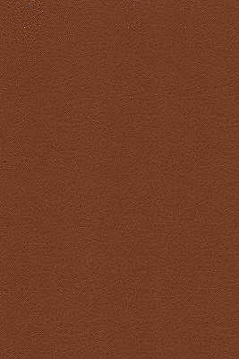 Desire-6 by Kravet Design Fabric - NYTEK - 100% Japan HEAVY Horizontal: 0 and Vertical: 0 54 - Fabric Carolina -