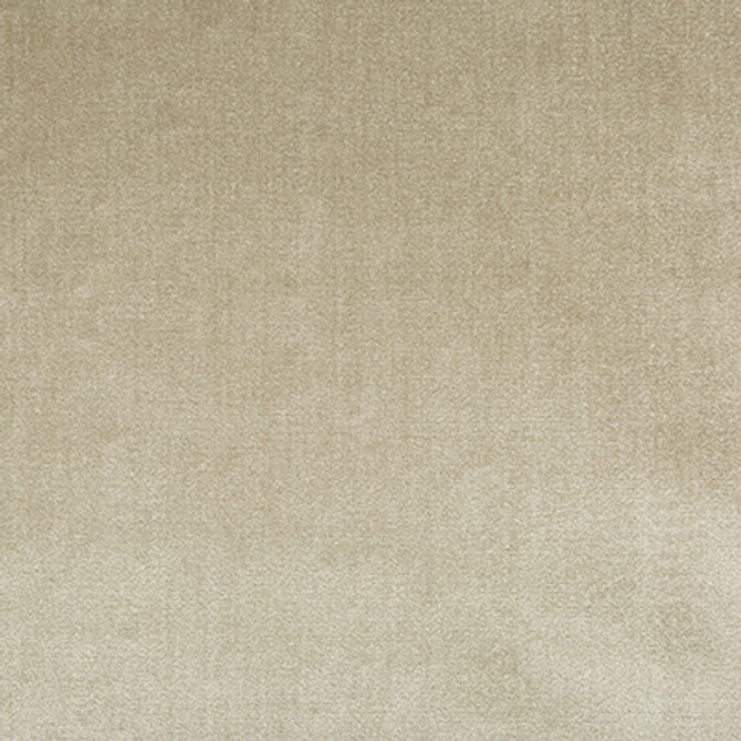Duchess Velvet Oyster by Lee Jofa Fabric