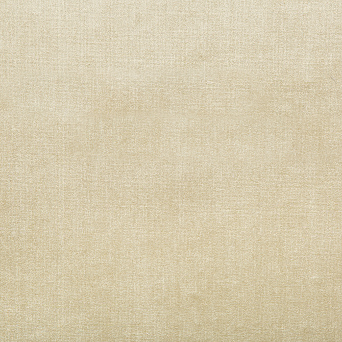 Duchess Velvet Beige by Lee Jofa Fabric SILK - 51%;COTTON - 49% Italy MEDIUM Horizontal: 0 and Vertical: 0 55 - Fabric Carolina -