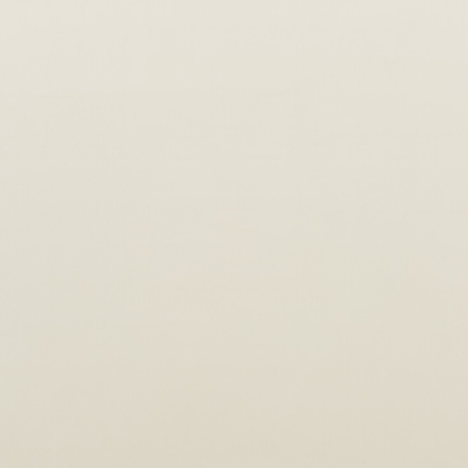 Montpellier Velvet Ivory by Baker Lifestyle Fabric CARNIVAL POLYESTER - 100% China HEAVY Horizontal: - and Vertical: - 55.16 - Fabric Carolina -