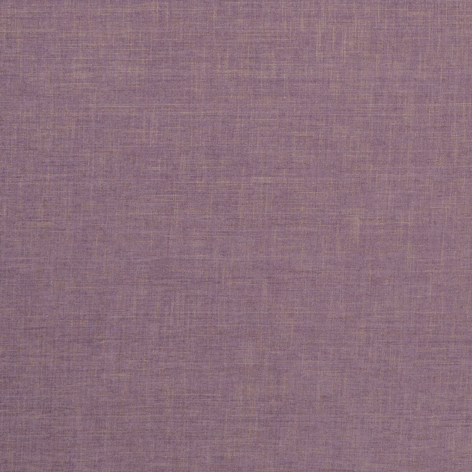 Albany Heather by Clarke And Clarke Fabric CLARKE & CLARKE ALBANY & MORAY POLYESTER - 78%;COTTON - 22% India HEAVY Horizontal: 0 and Vertical: 0 55 - Fabric Carolina -