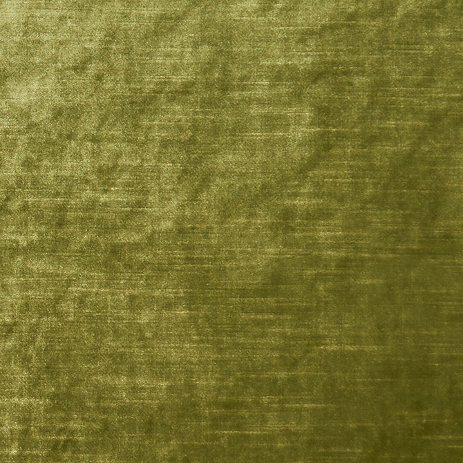 F1069 27 Allure Moss by Clarke and Clarke Fabric CLARKE & CLARKE POLYESTER - 100% India HEAVY Horizontal: 0 and Vertical: 0 57  - Fabric Carolina -