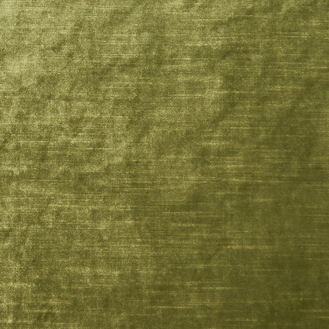 Allure Moss by Clarke And Clarke Fabric CLARKE & CLARKE ALLURE POLYESTER - 100% India HEAVY Horizontal: 0 and Vertical: 0 57 - Fabric Carolina -