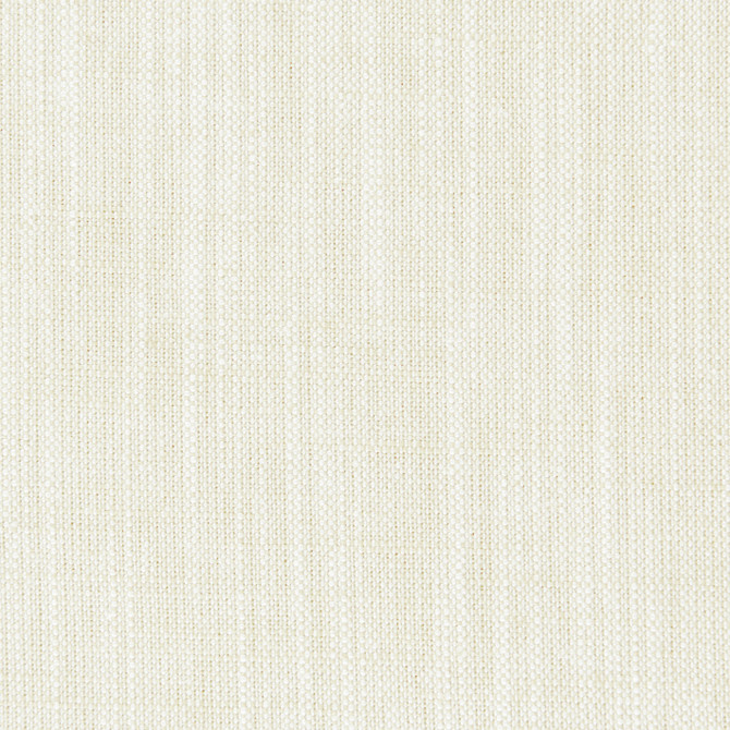 F0965 23 Biarritz Ivory by Clarke and Clarke Fabric CLARKE & CLARKE VISCOSE - 70%;LINEN - 30% India HEAVY Horizontal: 0 and Vertical: 0 55  - Fabric Carolina -