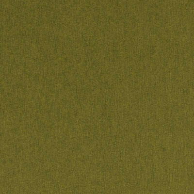 F0848 22 Highlander Olive by Clarke and Clarke Fabric Highlander 100% Polyester CHINA see sample Horizontal: - and Vertical: - 55 inches - Fabric Carolina -
