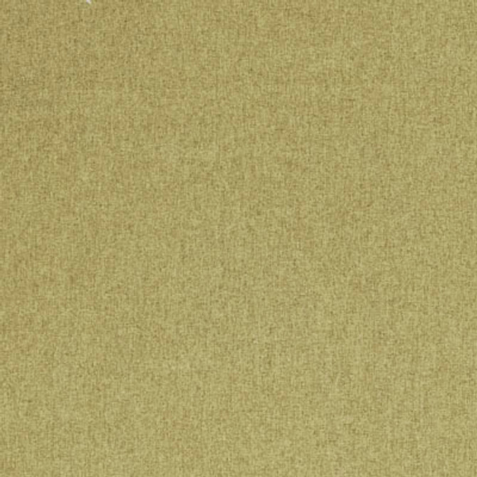 F0848 12 Highlander Fern by Clarke and Clarke Fabric Highlander 100% Polyester CHINA see sample Horizontal: - and Vertical: - 55 inches - Fabric Carolina -
