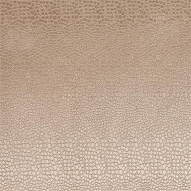F0469 13 Pulse Sand by Clarke and Clarke Fabric C&amp;C Contract 100% Polyester China see sample Horizontal: 2 inches and Vertical: 8 inches 56 inches - Fabric Carolina -