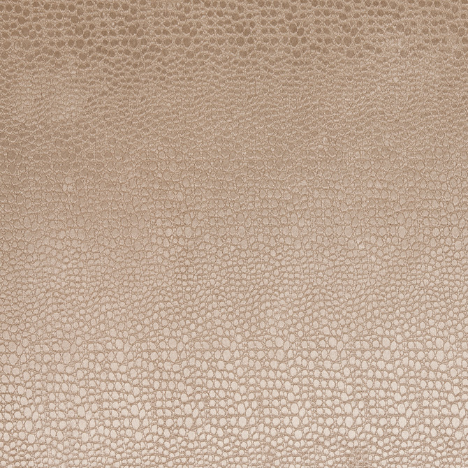 F0469 13 Pulse Sand by Clarke and Clarke Fabric CLARKE & CLARKE POLYESTER - 100% China HEAVY Horizontal: 2.56 and Vertical: 8.66 56  - Fabric Carolina -