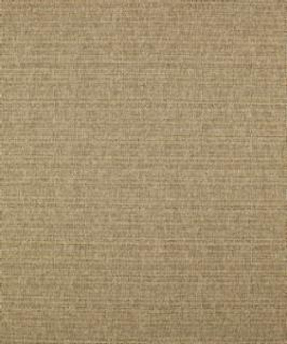 Caspian 11111 M10256 by Barrow Fabric 18C02 66% POLYESTER FILAMENT-TEXTURED
34% POLYESTER FILAMENT NON-TEXTURED CHINA 36,000 DOUBLE RUBS </p><p>Repeat: Horizontal: and Vertical: 54" Minimum - Fabric Carolina -