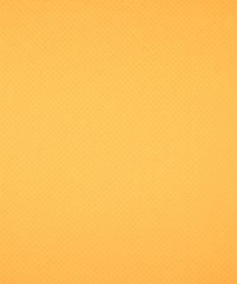 Deduce Buttercup M9480 by Barrow Fabric 14C05 56% POLYESTER FILAMENT-TEXTURED 44% POLYESTER FILAMENT NON-TEXTURED CHINA 30,000 DOUBLE RUBS </p><p>Repeat: Horizontal: and Vertical: 54" Minimum - Fabric Carolina -