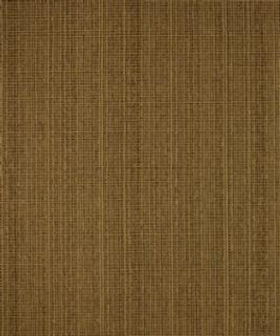 Hypothesis Husk M9497 by Barrow Industries Designer Fabric Textures/Solids/13C05 37% POLYESTER
32% RAYON
31% COTTON Asia 9,000 DOUBLE RUBS Horizontal: N/A and Vertical: N/A 56" - Swanky Fabrics -