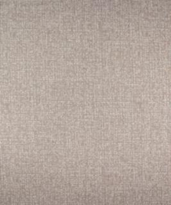Sprague 12301 M9949 by Barrow Industries Designer Fabric Textures/Solids/16C06 51% POLYESTER (S)
49% POLYESTER (F) Asia 50,000 DOUBLE RUBS Horizontal: - and Vertical: - 58" - Swanky Fabrics -