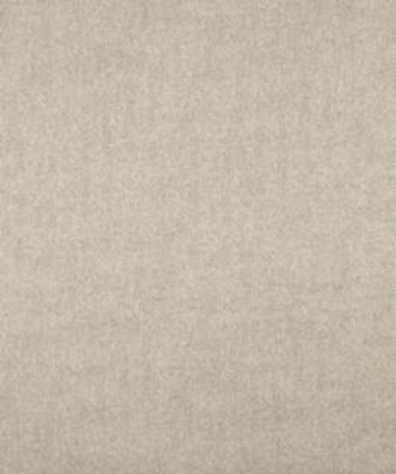 Term 12312 M10316 by Barrow Industries Designer Fabric Textures/Solids/18C03 100% POLYESTER (S) Asia 50,000 DOUBLE RUBS Horizontal: - and Vertical: - 58" - Swanky Fabrics -