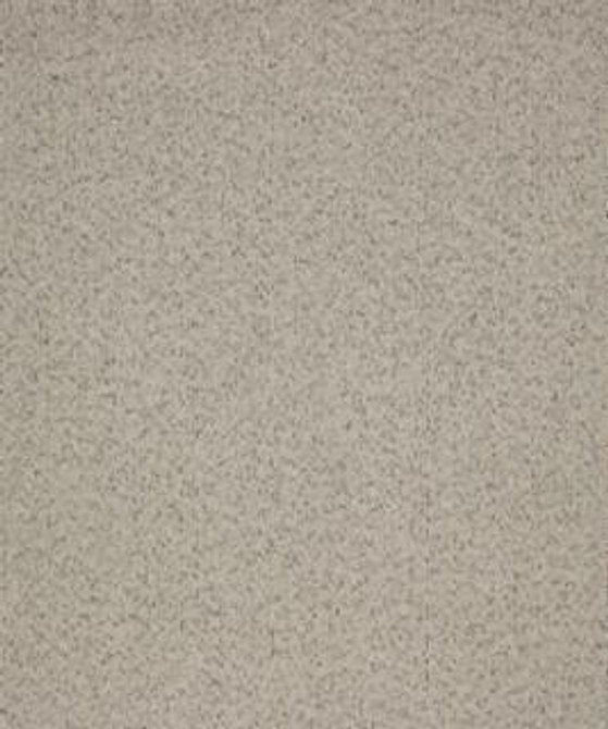 Modish 11112 M10541 by Barrow Fabric 18C10 84% POLYESTER (F)
12% RAYON (S)
4% POLYESTER (S) CHINA 33,000 DOUBLE RUBS </p><p>Repeat: Horizontal: and Vertical: 54" Minimum - Fabric Carolina -