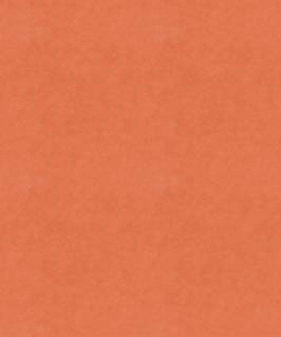 Counterpoint 31501 M9989 by Barrow Industries Designer Fabric Traditional/17CL01 100% POLYESTER KNIT PILE FABRIC Asia 30,000 DOUBLE RUBS Horizontal: - and Vertical: - 57" - Swanky Fabrics -