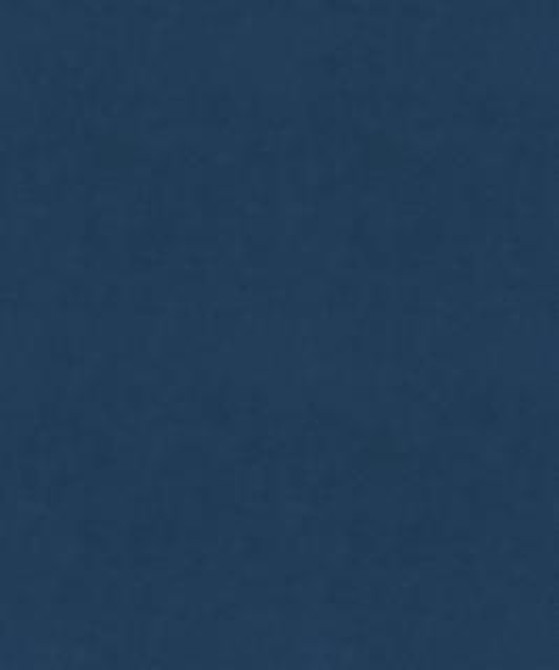 Counterpoint 21909 M9989 by Barrow Fabric 16CL11 100% POLYESTER KNIT PILE FABRIC CHINA 30,000 DOUBLE RUBS </p><p>Repeat: Horizontal: and Vertical: 54" Minimum - Fabric Carolina -