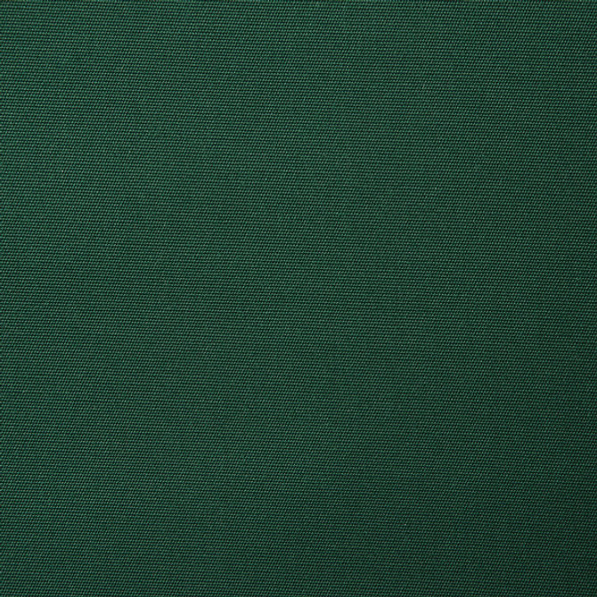 5446  Canvas Forest Green by Sunbrella Fabric our website for purchase 100% Sunbrella Acrylic USA (see sample) n/a 54"  - Fabric Carolina -