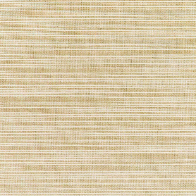 8011 Dupione Sand by Sunbrella Fabric Sunbrella Elements - Dupione Sunbrella® Acrylic, Sunbrella® Polyester, Sunbrella® Non-Phthalate PVC USA or Imported 5-Year Horizontal: and Vertical: 60 yd. 54 in. - Fabric Carolina -