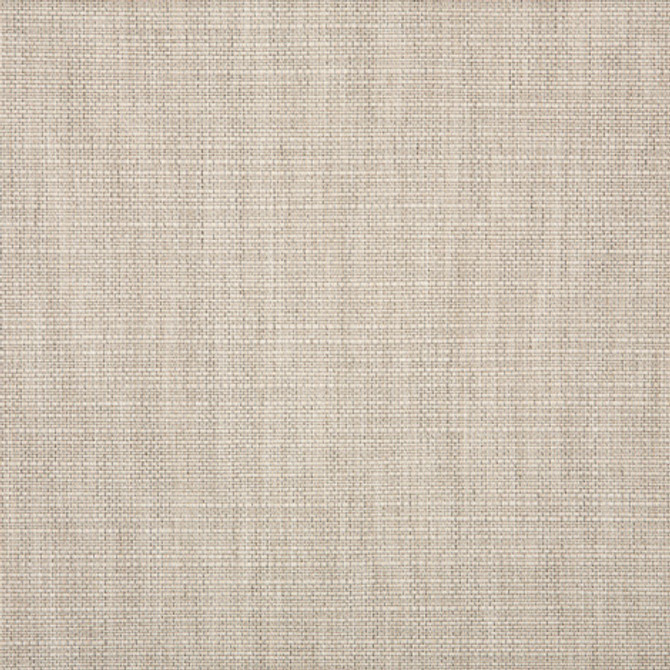 57005 Echo Ash by Sunbrella Fabric Sunbrella Elements - Decorative Sunbrella® Acrylic, Sunbrella® Polyester, Sunbrella® Non-Phthalate PVC USA or Imported 5-Year Horizontal: and Vertical: 60 yd. 54 in. - Fabric Carolina -