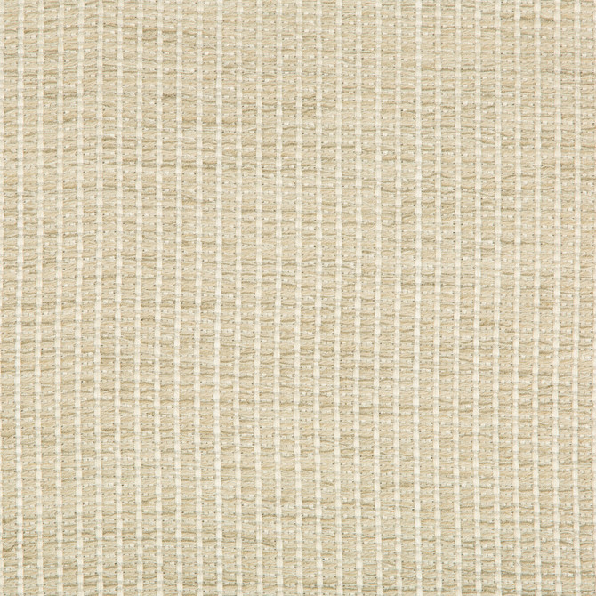 35123-1611 by Kravet Design Fabric PERFORMANCE CRYPTON HOME RAYON - 85%;COTTON - 14%;NYLON - 1% United States HEAVY Horizontal: 0 and Vertical: 0 54.5 - Fabric Carolina -