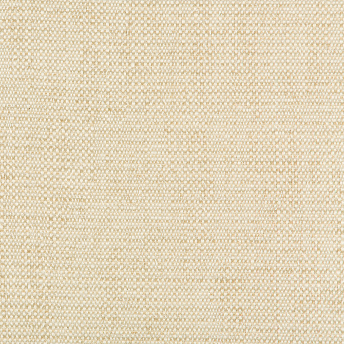 35135-116 by Kravet Design Fabric PERFORMANCE CRYPTON HOME RAYON - 78%;COTTON - 21%;NYLON - 1% United States HEAVY Horizontal: 0 and Vertical: 0 57 - Fabric Carolina -