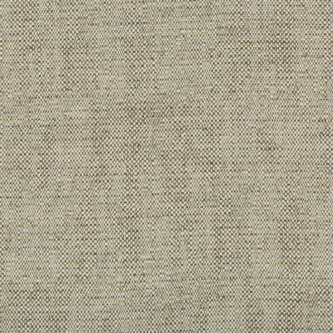 35135-1611 by Kravet Design Fabric PERFORMANCE CRYPTON HOME RAYON - 78%;COTTON - 21%;NYLON - 1% United States HEAVY Horizontal: 0 and Vertical: 0 57 - Fabric Carolina -