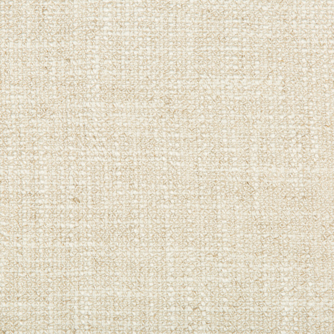 35190-116 by Kravet Basics Fabric - VISCOSE - 45%;COTTON - 35%;LINEN - 20% China HEAVY Horizontal: 0 and Vertical: 0 56 - Fabric Carolina -