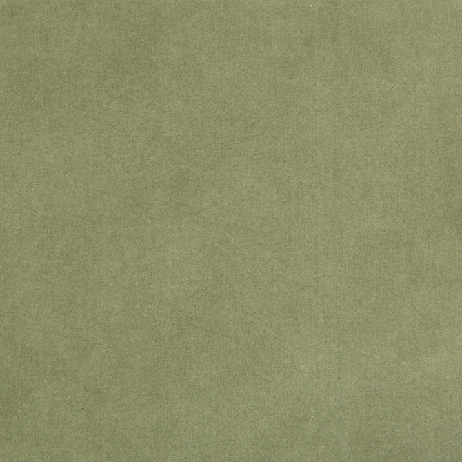 Kravet Design 35366-113 by Kravet Design Fabric Kravet Design Fabric Kravet Design 35366-113Fabric COTTON - 100% Netherlands </p><p>Repeat: H: 0, V: 0 55 - Fabric Carolina -