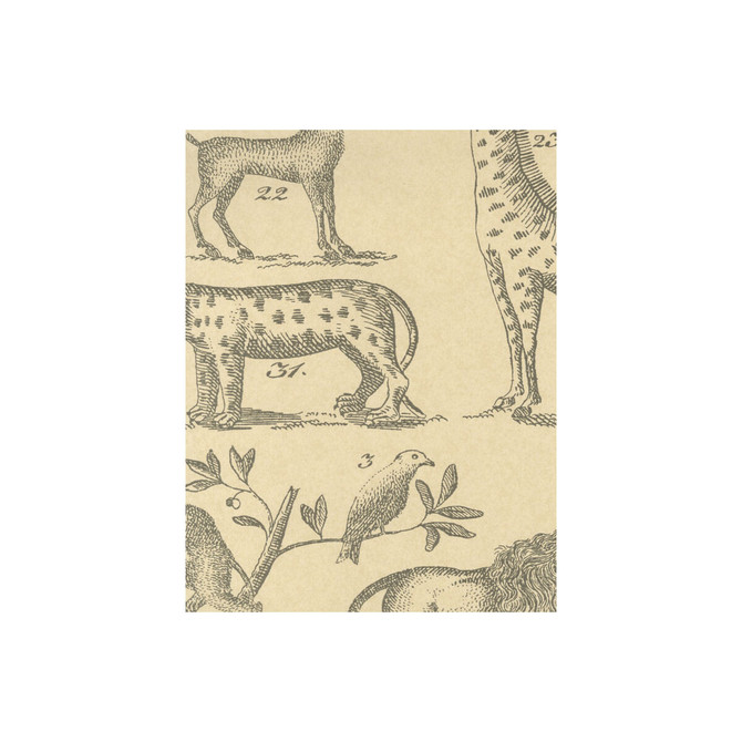 Ark Parchment by Kravet Couture Wallcovering ANDREW MARTIN MUSEUM PAPER - 100% United Kingdom - Horizontal: - and Vertical: 26.5 20.5 - Fabric Carolina -