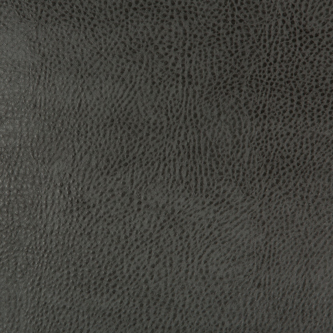 Beholder-21 by Kravet Design Fabric - POLY VINYL CHLORIDE - 79%;POLYESTER - 21% China HEAVY Horizontal: 0 and Vertical: 0 54 - Fabric Carolina -