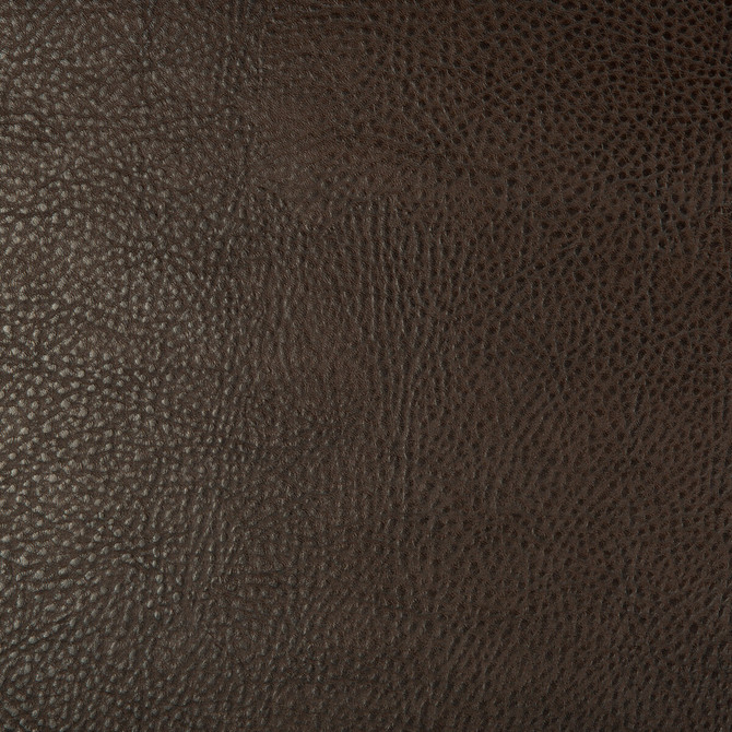 Beholder-6 by Kravet Design Fabric POLY VINYL CHLORIDE - 79%;POLYESTER - 21% China HEAVY Horizontal: 0 and Vertical: 0 54 - Fabric Carolina -