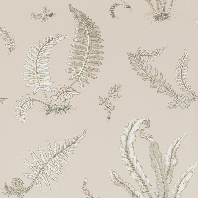 Ferns Linen by G P & J Baker Wallcovering SIGNATURE NON WOVEN - 100% United Kingdom Horizontal: 20.488 and Vertical: 20.882 20.488 - Fabric Carolina -