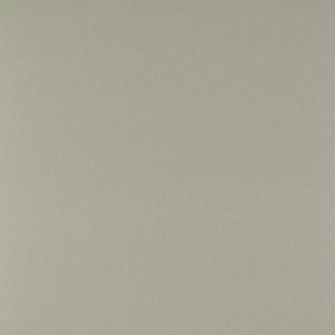 Kf Gyd:: by Gaston Y Daniela Fabric TIERRAS COTTON - 45%;VISCOSE - 27%;ACRYLIC - 14%;LINEN - 7%;POLYAMIDE - 7% Italy HEAVY Horizontal: 0.01 and Vertical: 0.01 55 - Fabric Carolina -