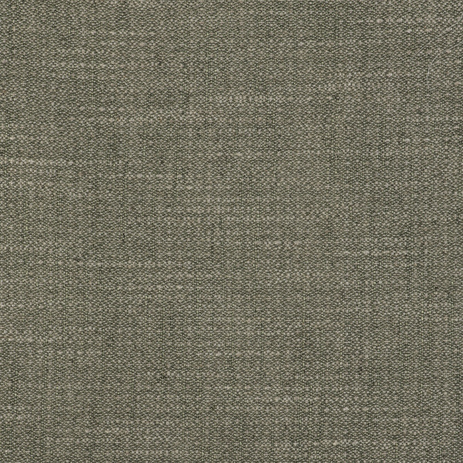 Kf Gyd:: by Gaston Y Daniela Fabric GASTON LIBRERIA VISCOSE - 50%;LINEN - 25%;COTTON - 15%;POLYESTER - 10% Belgium HEAVY Horizontal: 0 and Vertical: 0 54 - Fabric Carolina -