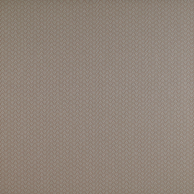 Chueca Beige by Gaston Y Daniela Fabric