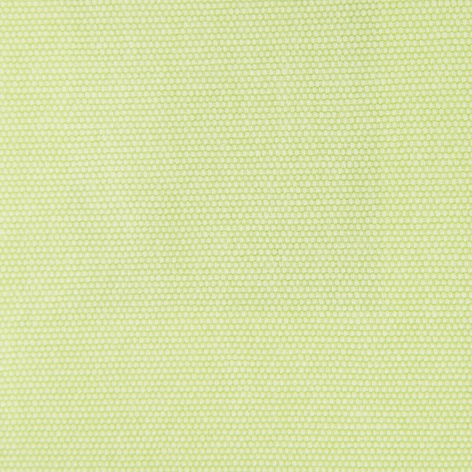 Panama Lima by Gaston Y Daniela Fabric BASICS COTTON - 100% Spain HEAVY Horizontal: 0 and Vertical: 0 55 - Fabric Carolina -