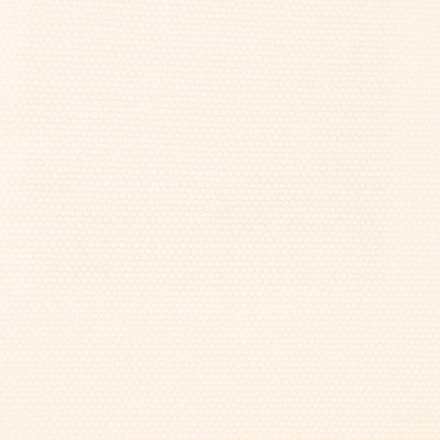 Panama Blanco by Gaston Y Daniela Fabric